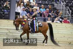 23R13_10375 thumbnail