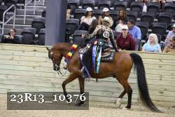 23R13_10376 thumbnail