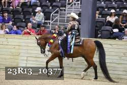 23R13_10377 thumbnail