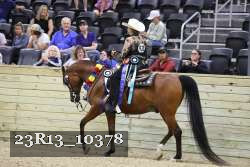 23R13_10378 thumbnail