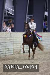 23R13_10404 thumbnail