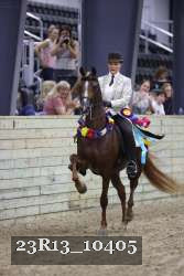 23R13_10405 thumbnail