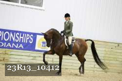 23R13_10412 thumbnail