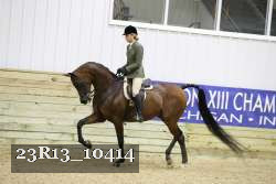 23R13_10414 thumbnail