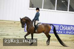 23R13_10416 thumbnail
