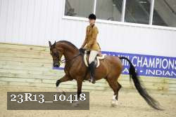 23R13_10418 thumbnail