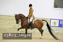 23R13_10419 thumbnail