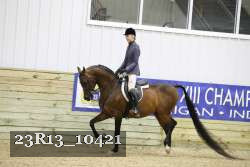 23R13_10421 thumbnail