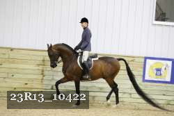 23R13_10422 thumbnail