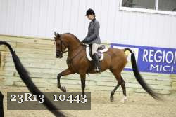23R13_10443 thumbnail