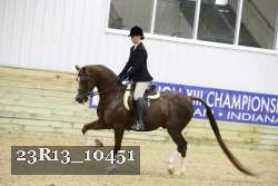 23R13_10451 thumbnail