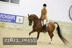 23R13_10453 thumbnail