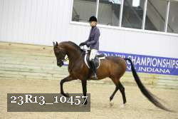 23R13_10457 thumbnail