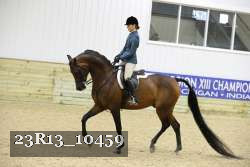 23R13_10459 thumbnail