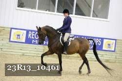 23R13_10461 thumbnail
