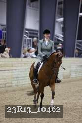 23R13_10462 thumbnail