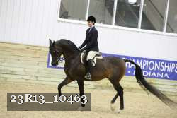 23R13_10463 thumbnail