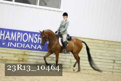 23R13_10464 thumbnail