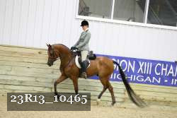 23R13_10465 thumbnail