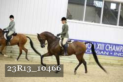 23R13_10466 thumbnail