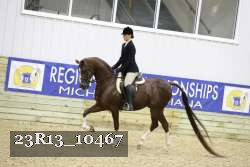 23R13_10467 thumbnail