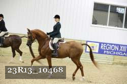 23R13_10468 thumbnail