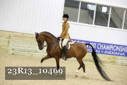 23R13_10469 thumbnail