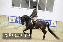 23R13_10471 thumbnail