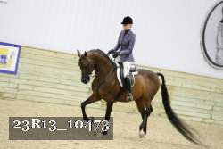 23R13_10473 thumbnail