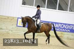 23R13_10474 thumbnail