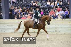 23R13_10475 thumbnail