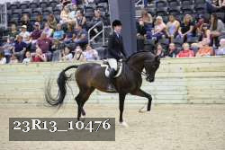 23R13_10476 thumbnail