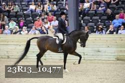 23R13_10477 thumbnail