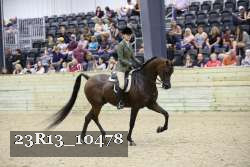 23R13_10478 thumbnail