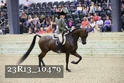 23R13_10479 thumbnail