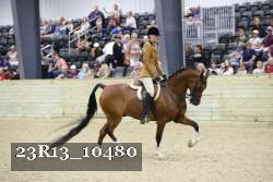 23R13_10480 thumbnail