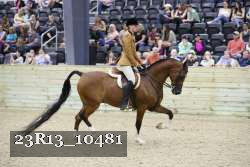 23R13_10481 thumbnail