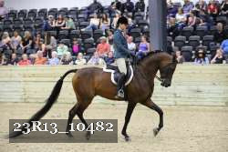 23R13_10482 thumbnail
