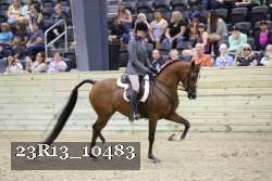 23R13_10483 thumbnail