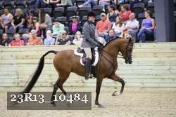 23R13_10484 thumbnail