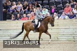 23R13_10485 thumbnail