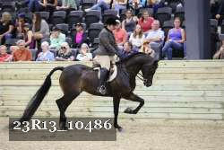 23R13_10486 thumbnail