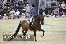 23R13_10487 thumbnail
