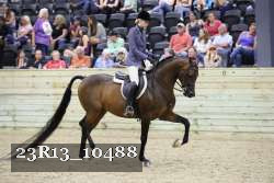23R13_10488 thumbnail