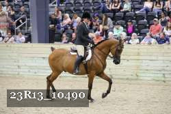 23R13_10490 thumbnail