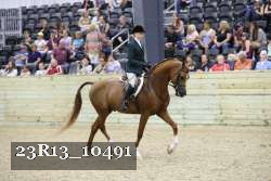 23R13_10491 thumbnail