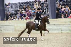 23R13_10492 thumbnail