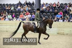 23R13_10493 thumbnail