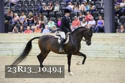 23R13_10494 thumbnail