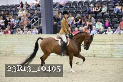 23R13_10495 thumbnail